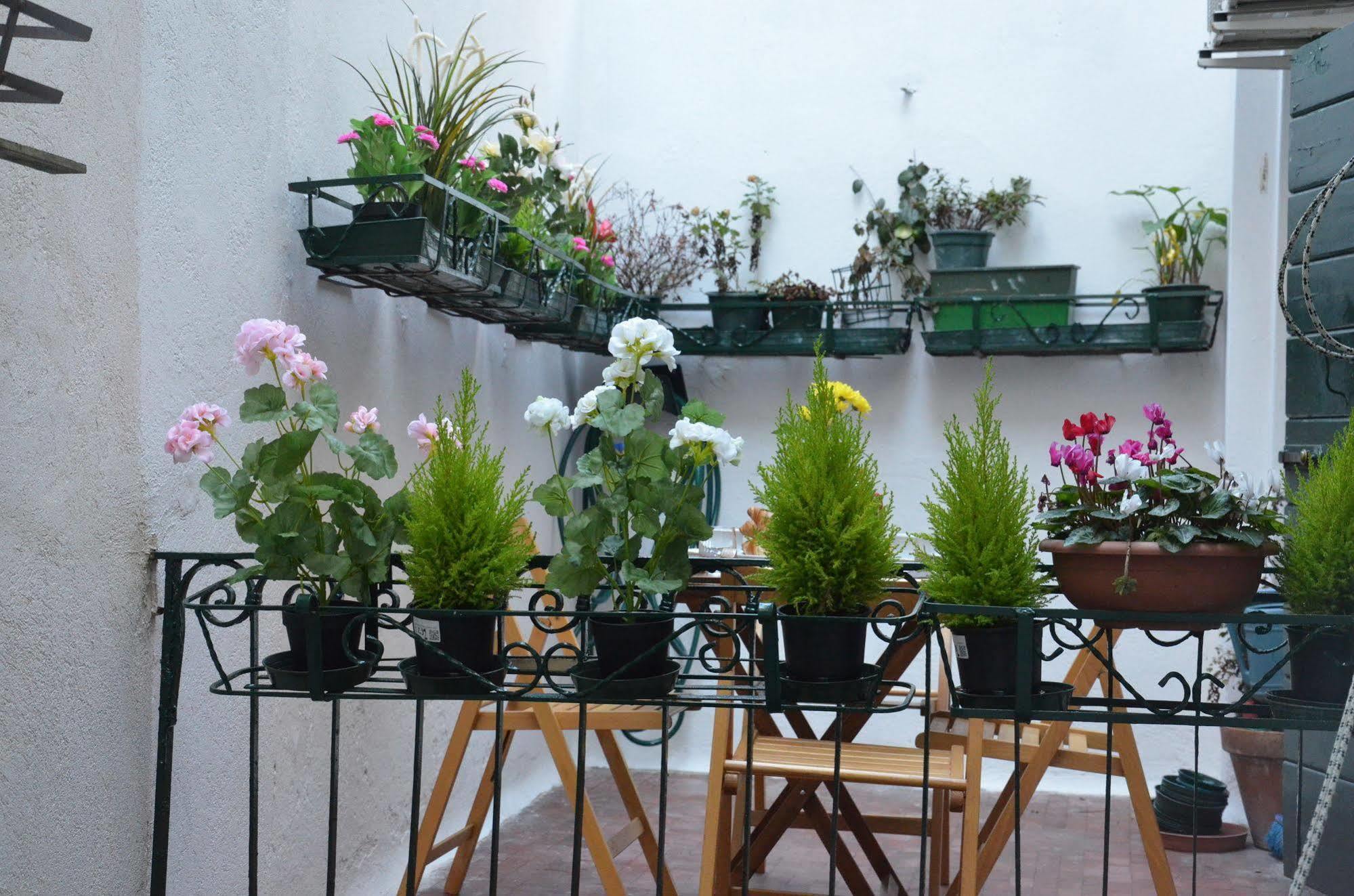 Venice Life מראה חיצוני תמונה